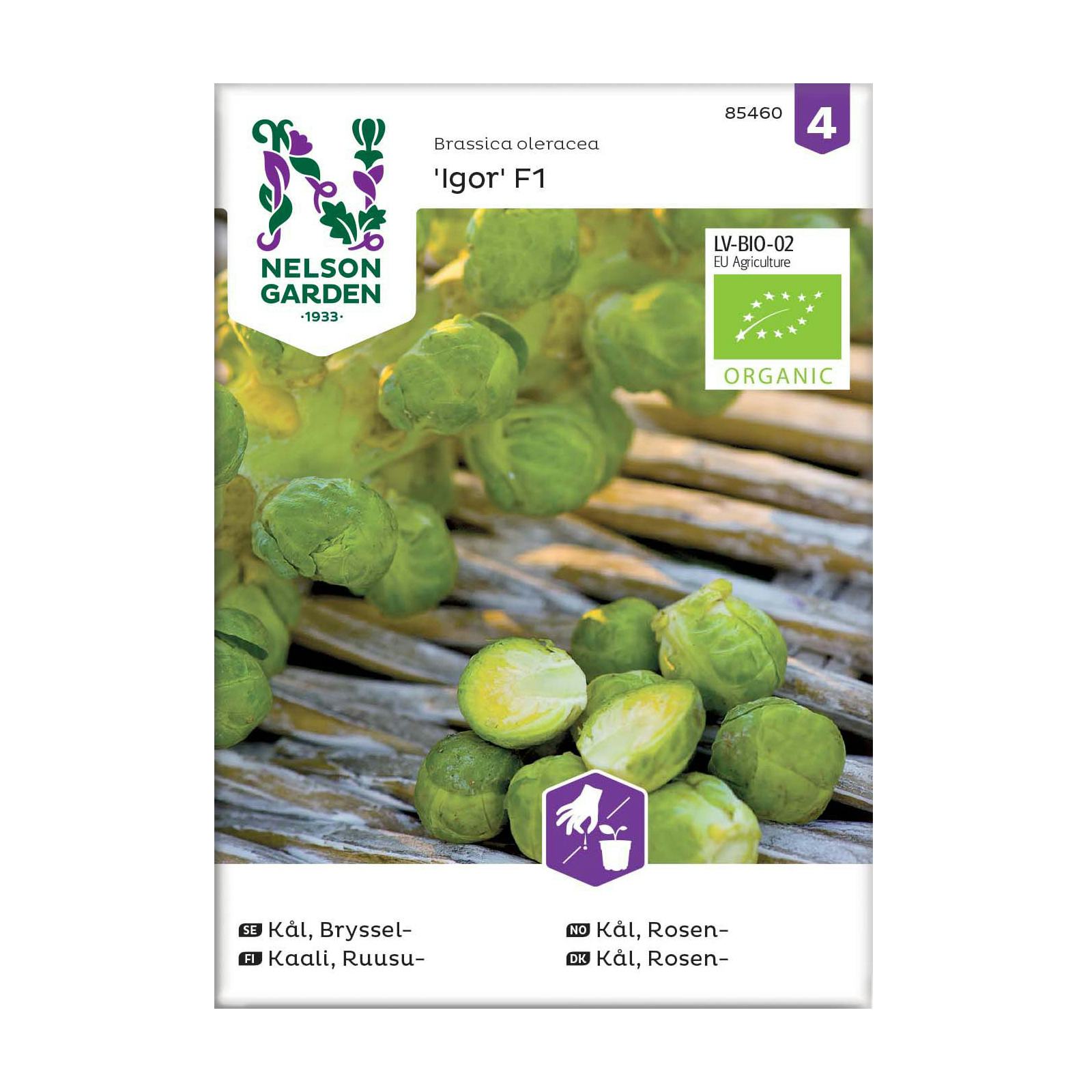 Frö Brysselkål Nelson Garden Igor F1 Organic