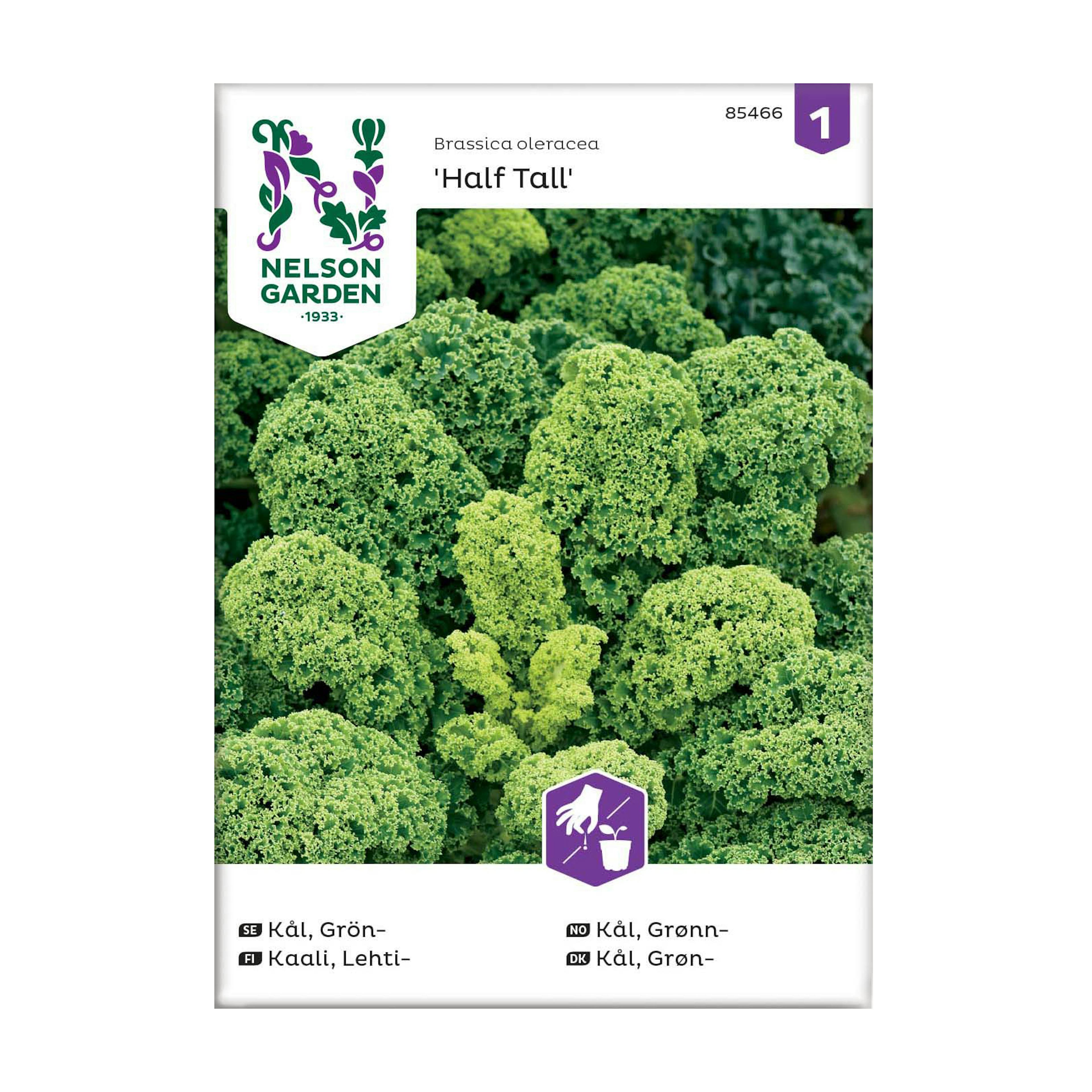 Frö Grönkål Nelson Garden Half Tall