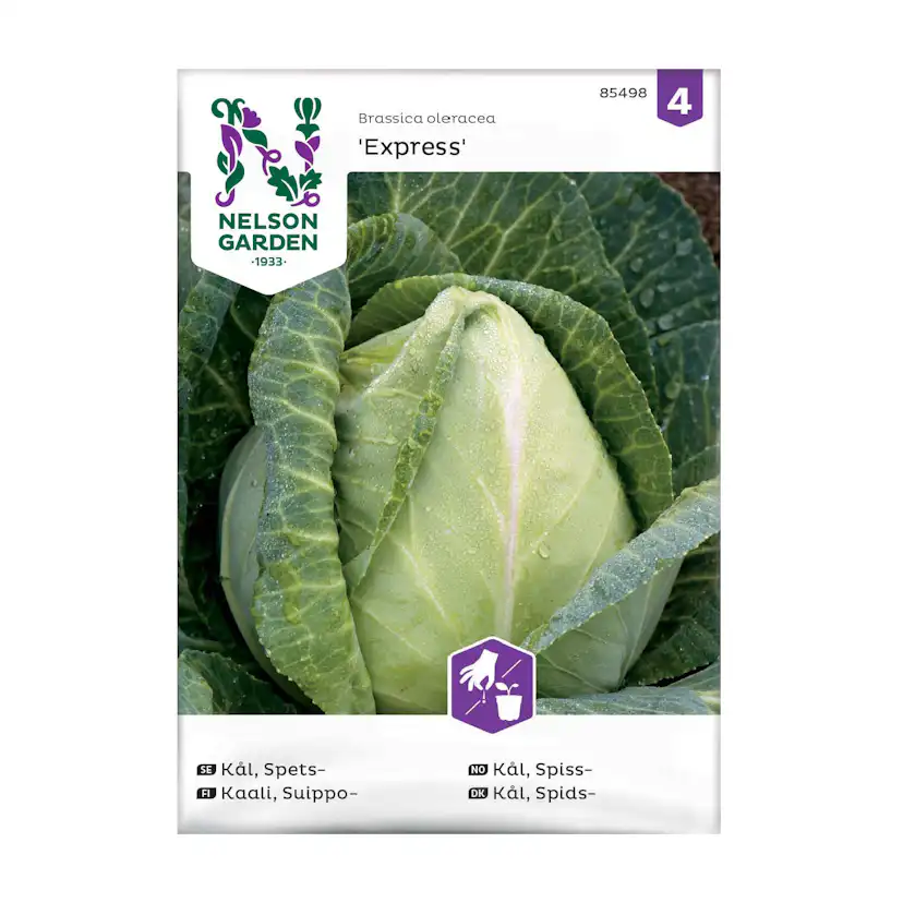 Frö Spetskål Nelson Garden Express