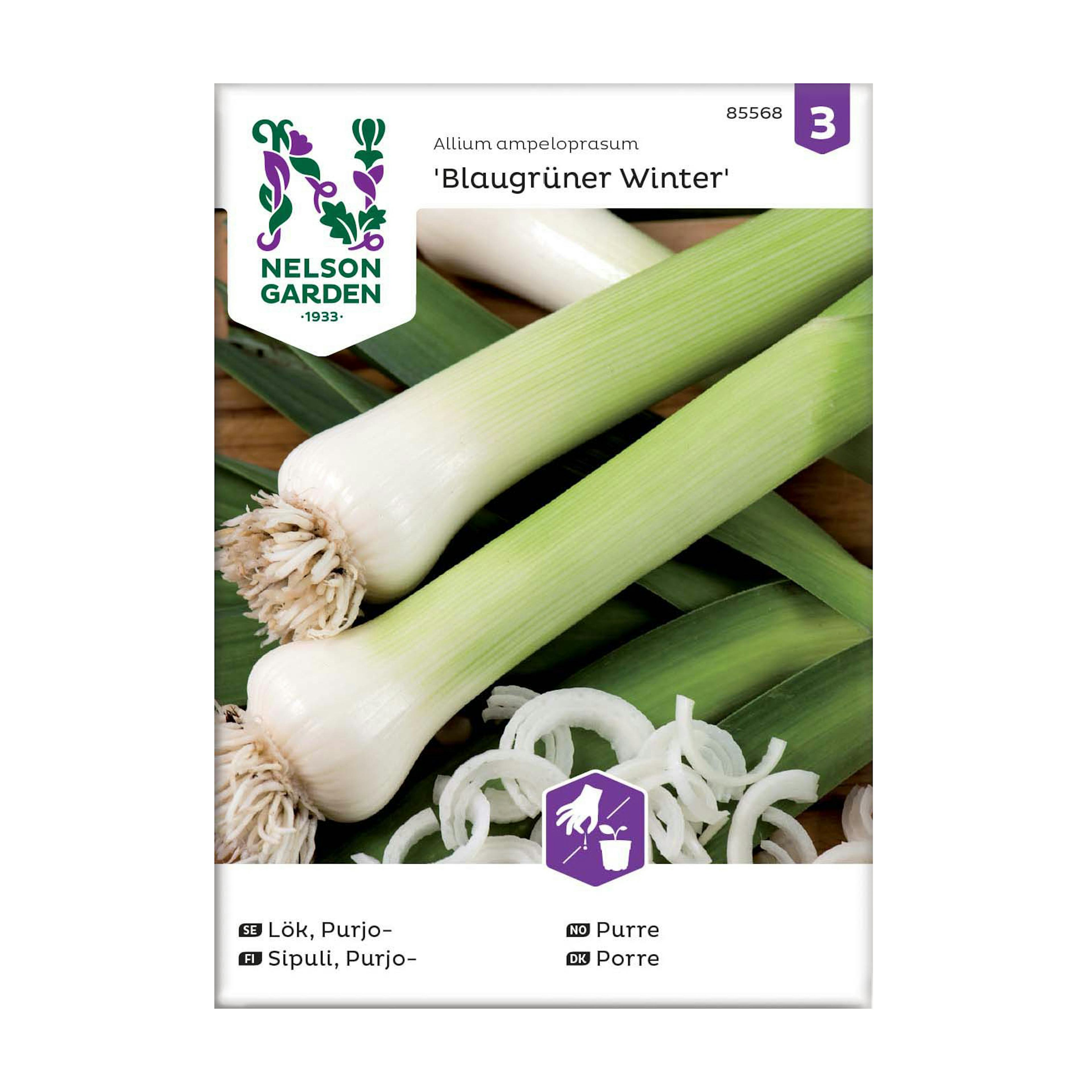 Frö Purjolök Nelson Garden Blaugrüner Winter