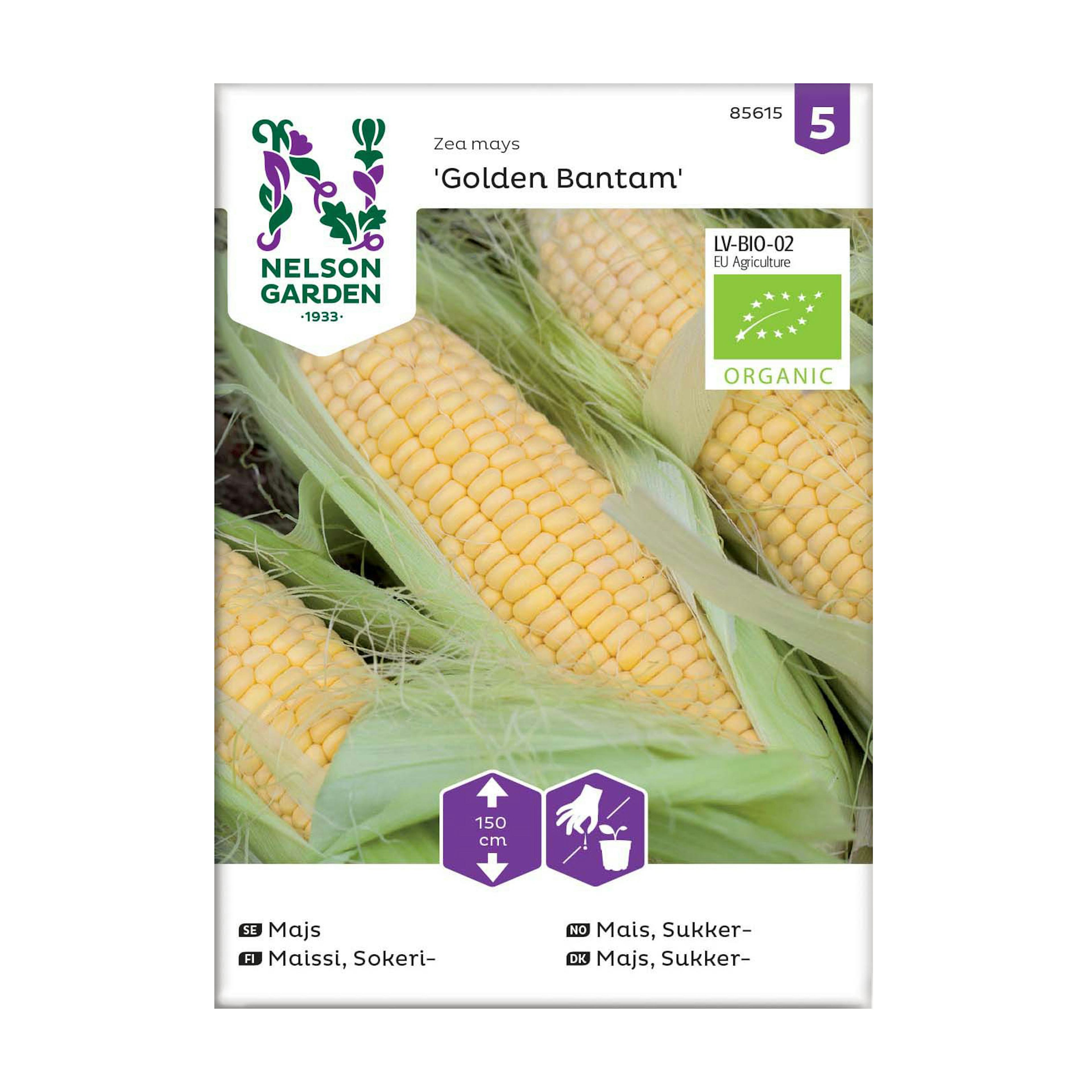 Frö Majs Nelson Garden Golden Bantam Organic