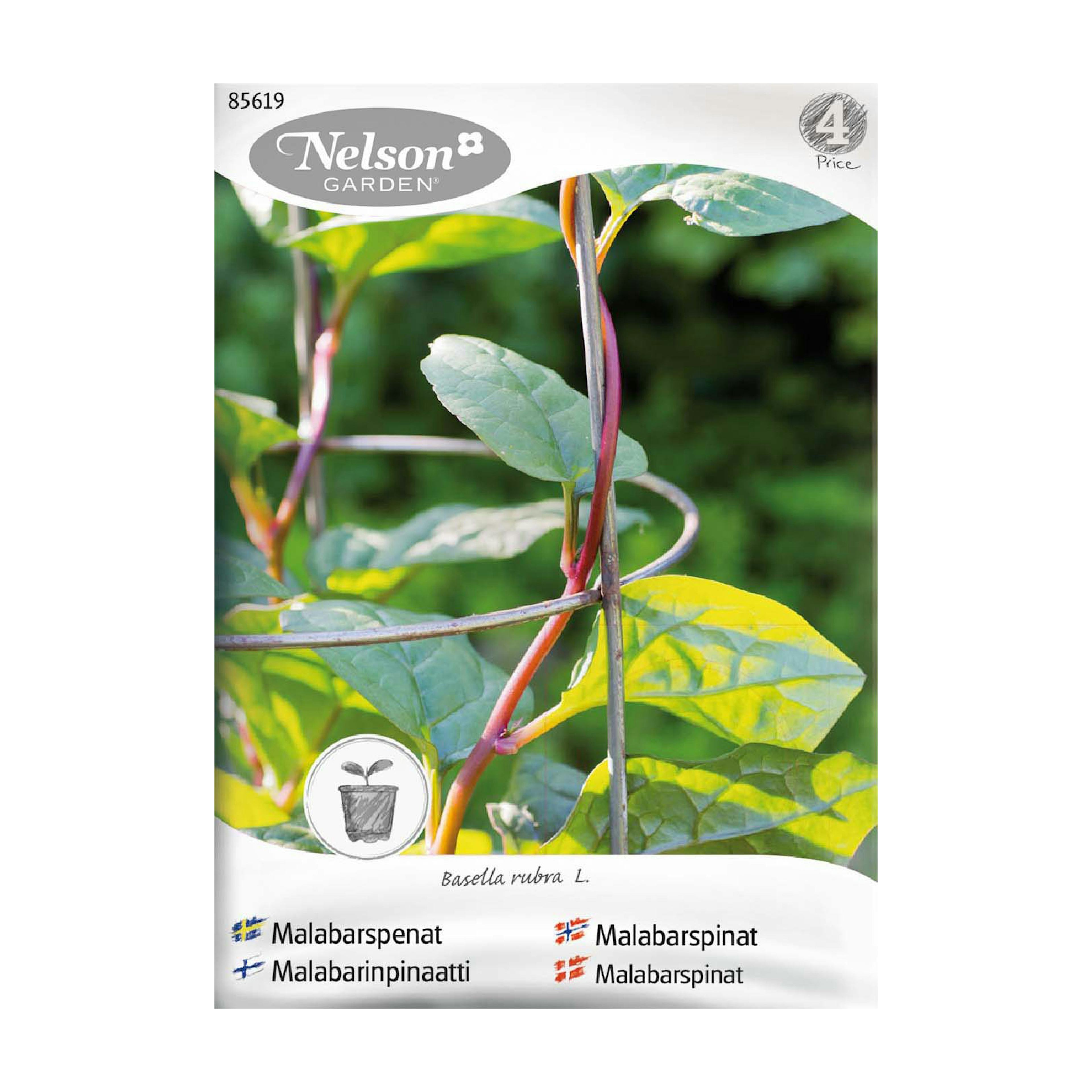 Frö Malabarspenat Nelson Garden Röd