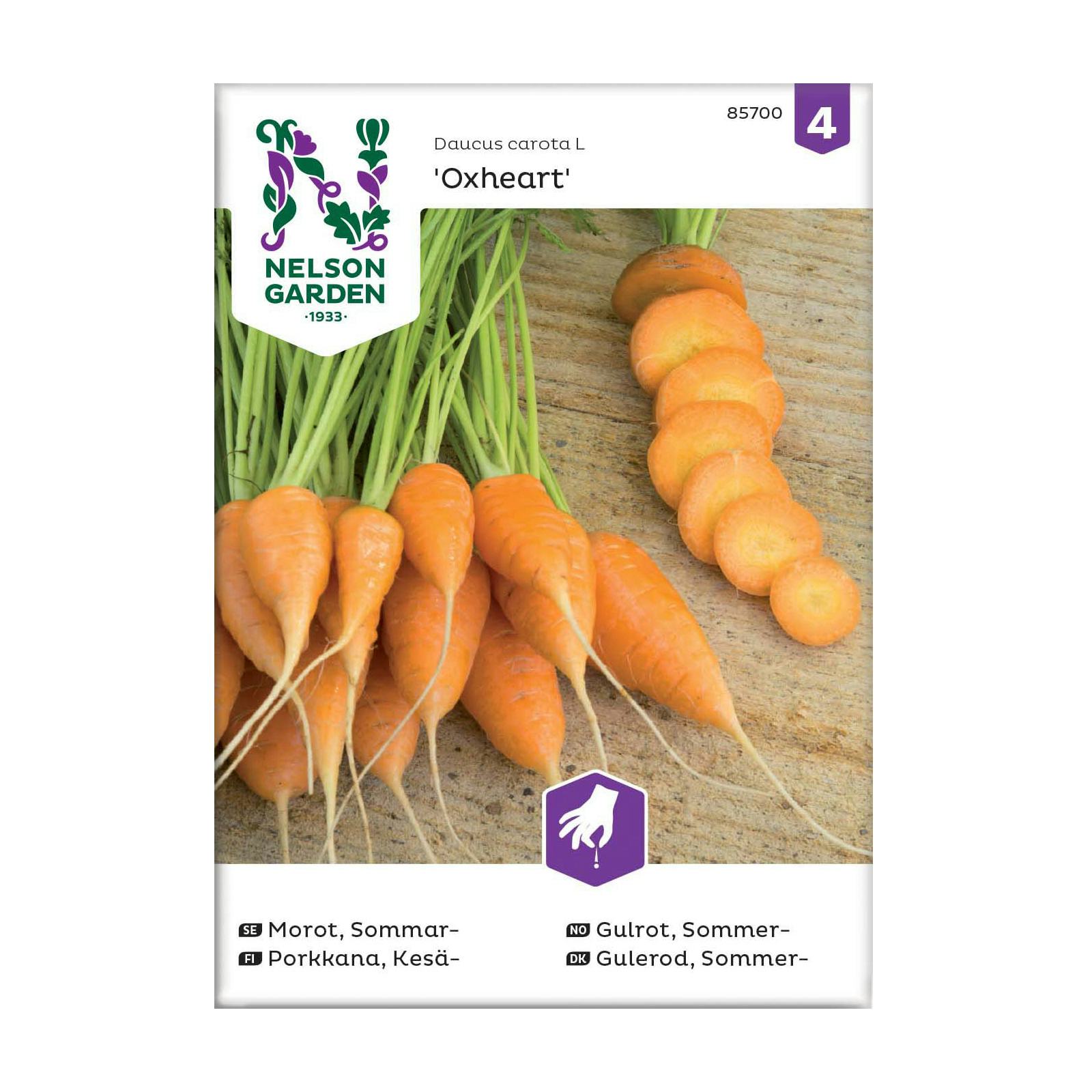 Frö Sommarmorot Nelson Garden Oxheart