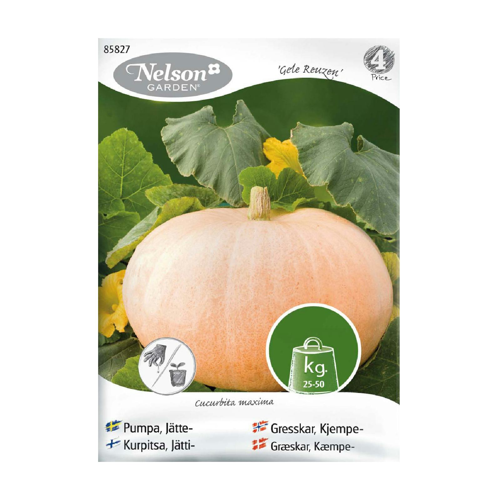 Frö Jättepumpa Nelson Garden Gele Reuzen