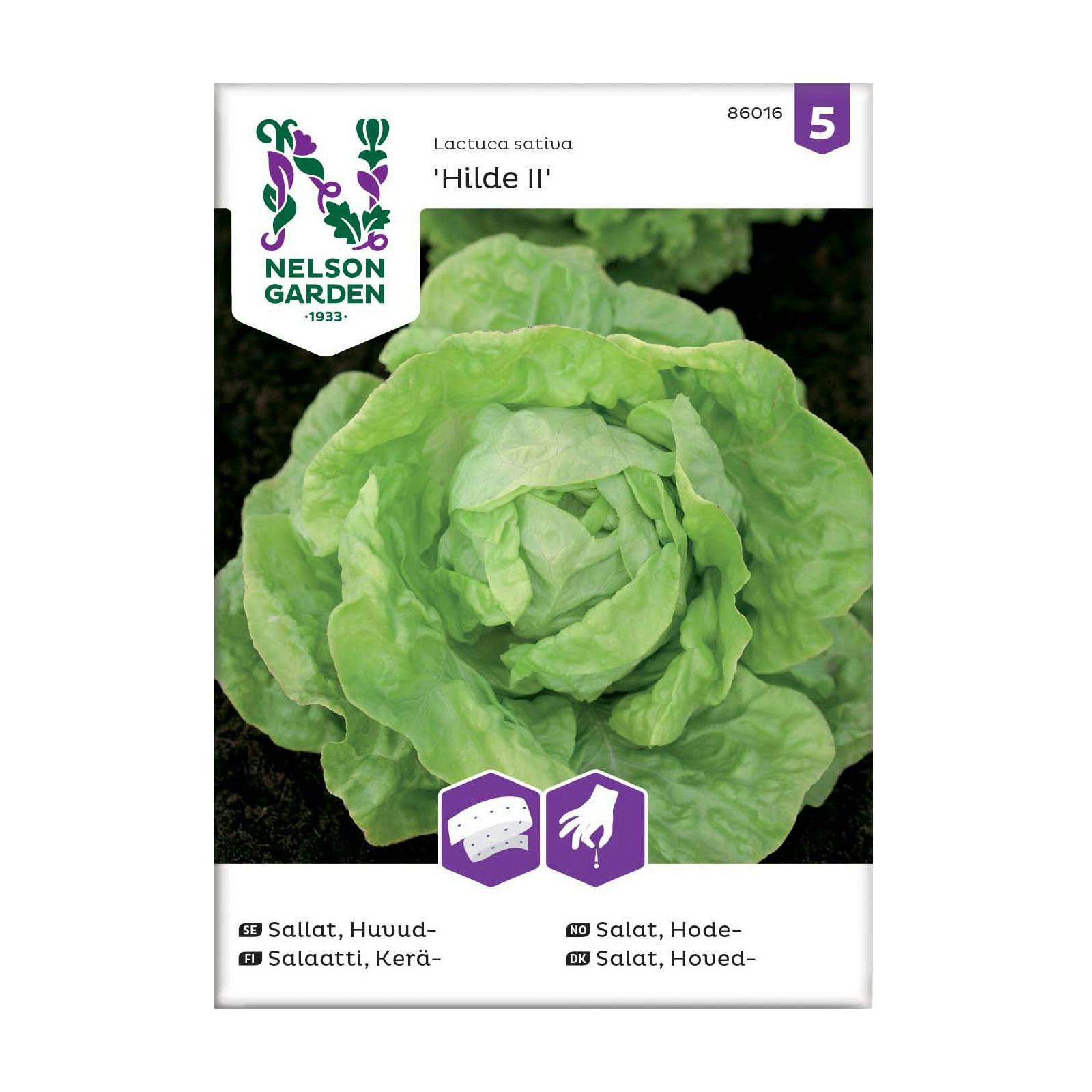 Frö Huvudsallat Nelson Garden Hilde II Såband