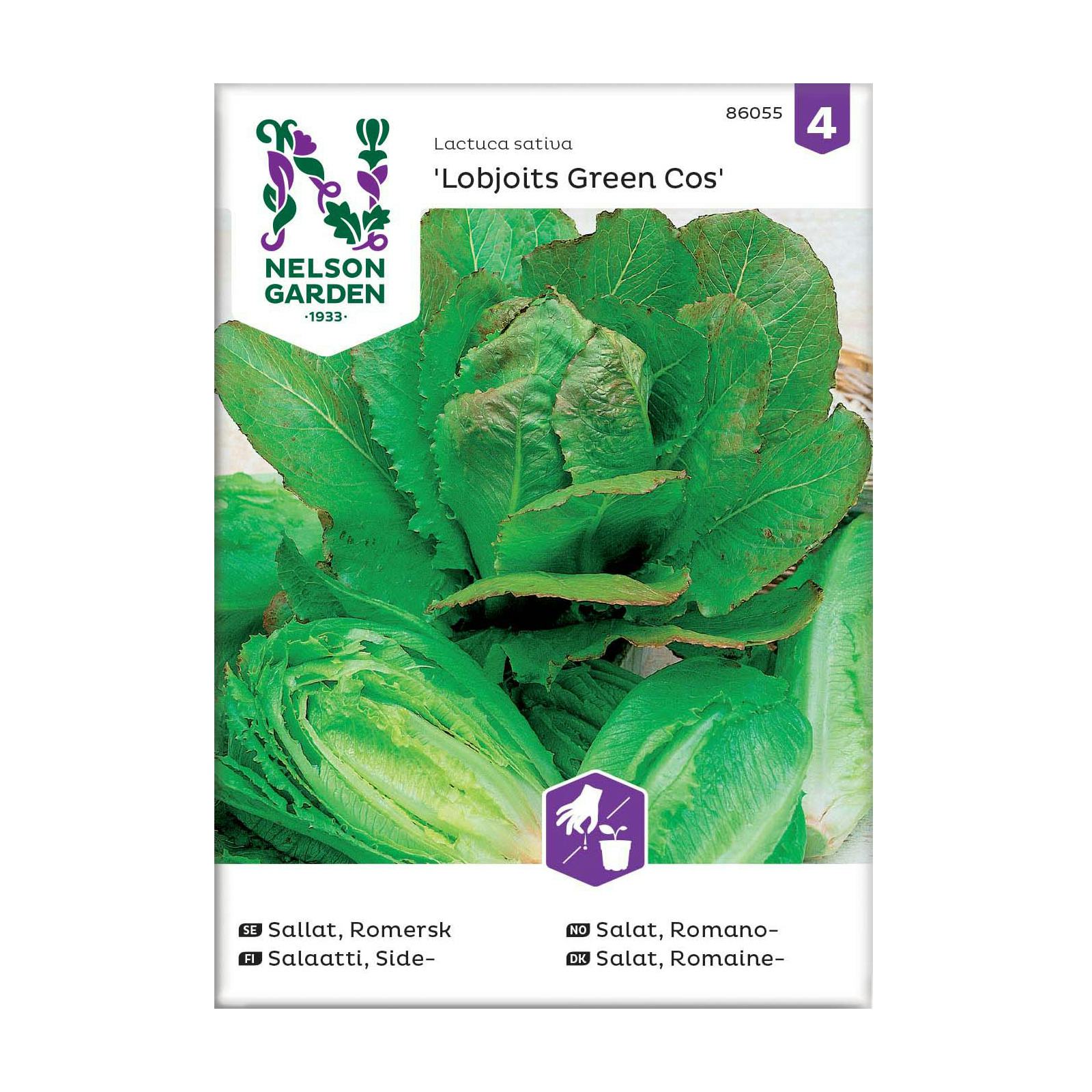 Frö Romersk sallat Nelson Garden Lobjoits Green Cos