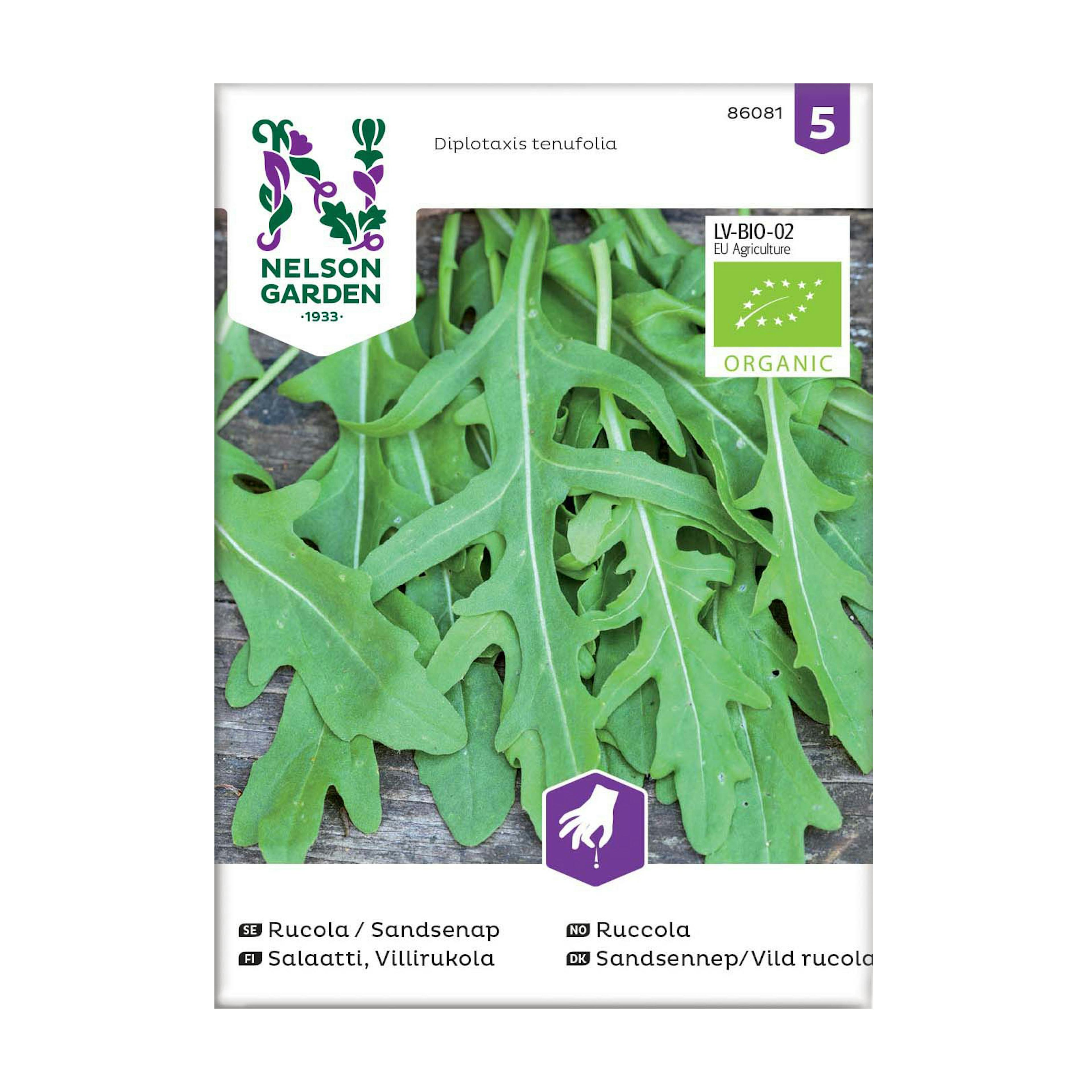 Frö Rucola Sandsenap Nelson Garden Organic