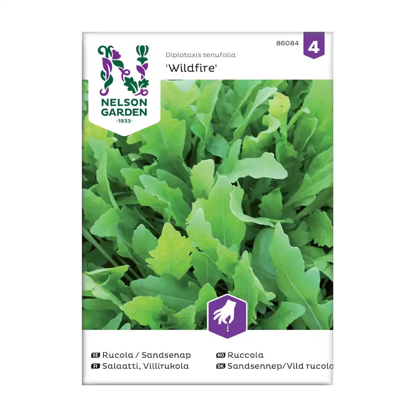 Frö Rucola Sandsenap Nelson Garden Wildfire™