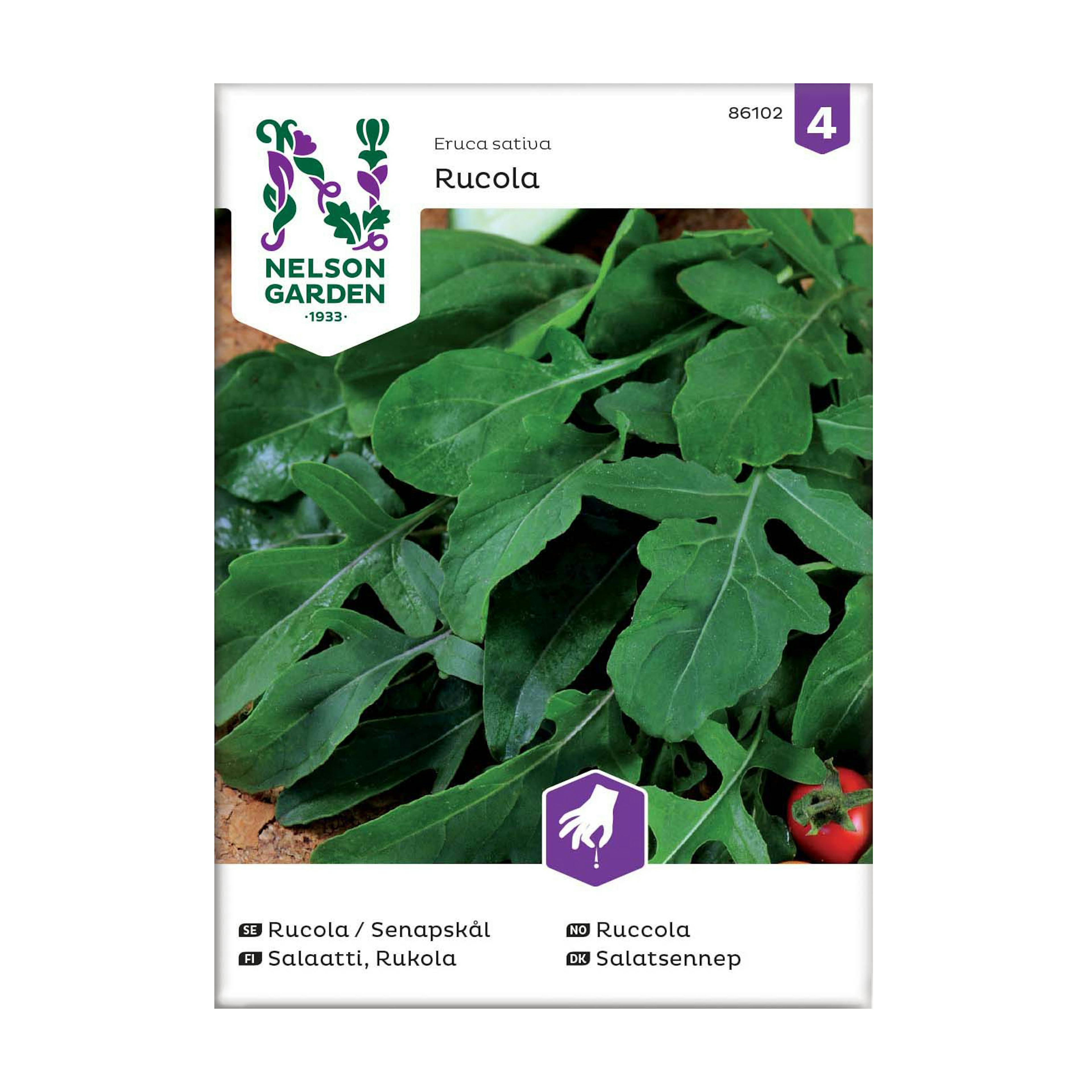 Frö Rucola Senapskål Nelson Garden