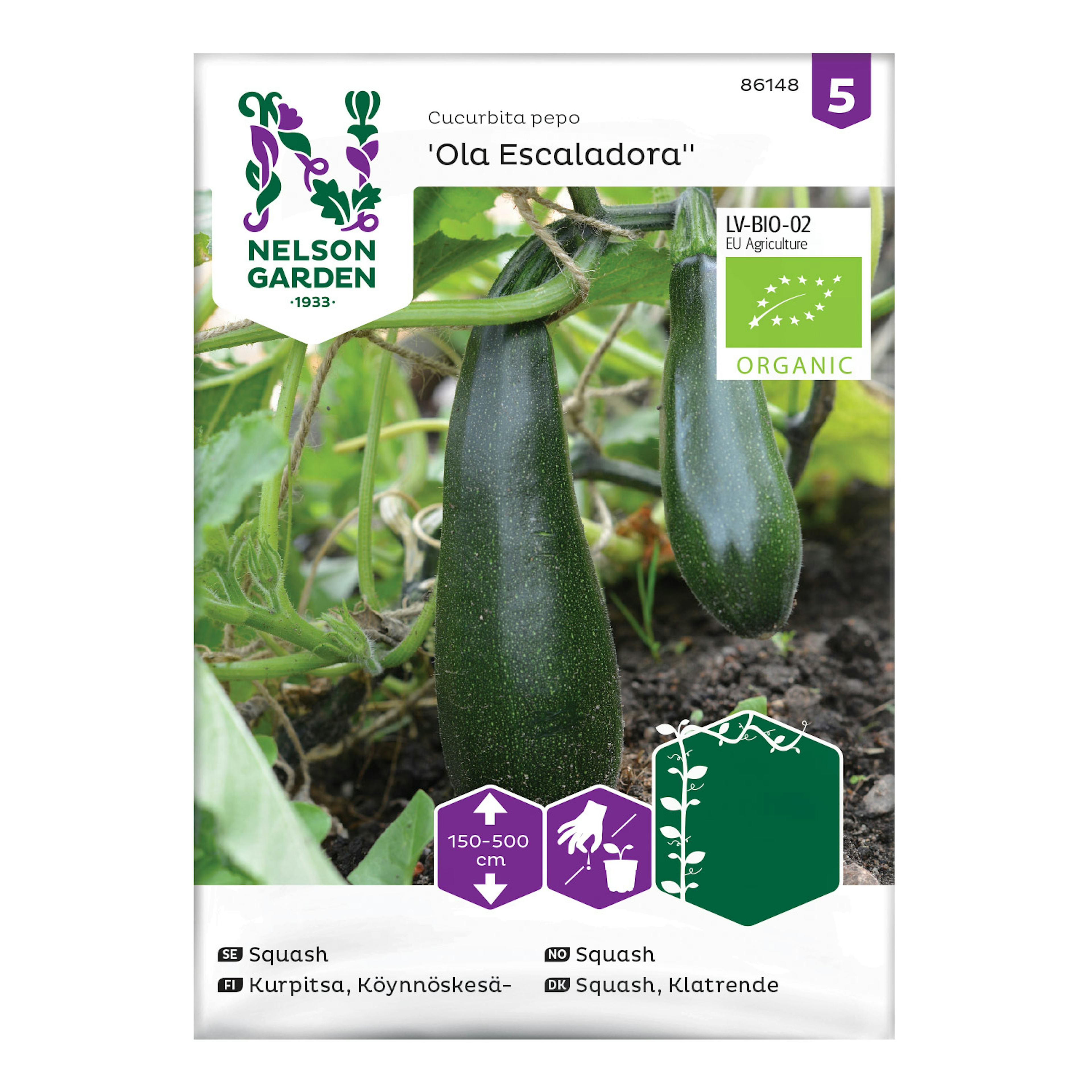 Frö Squash Nelson Garden Kläng Ola Escaladora Eko