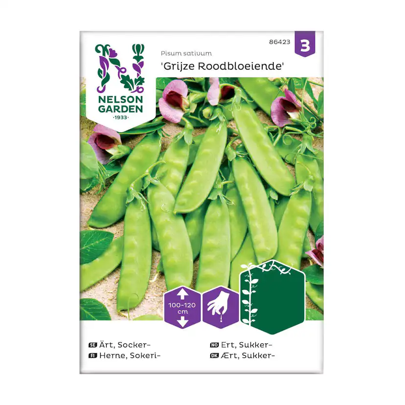 Frö Sockerärt Nelson Garden Grijze Roodbloeiende