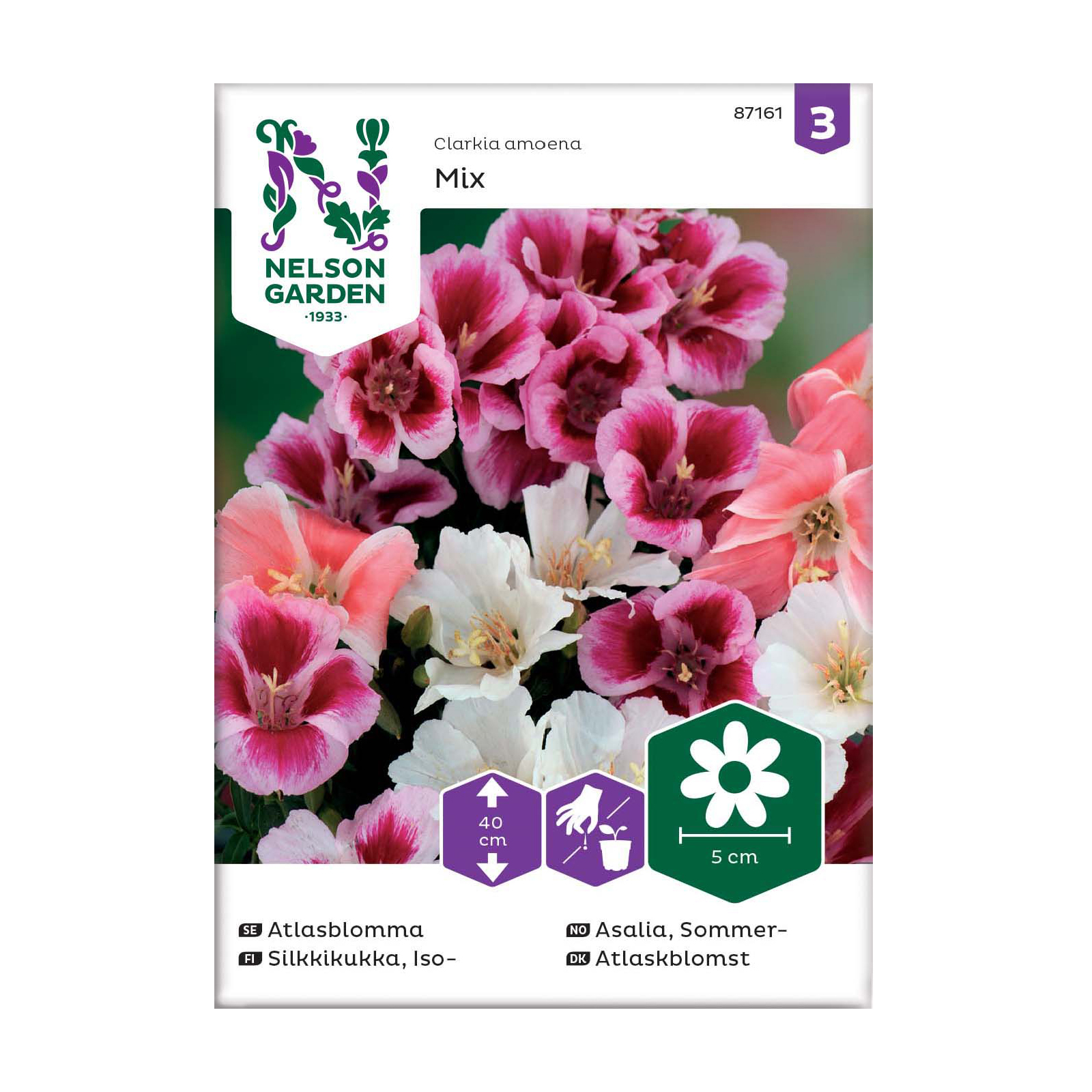 Frö Atlasblomma Nelson Garden Mix