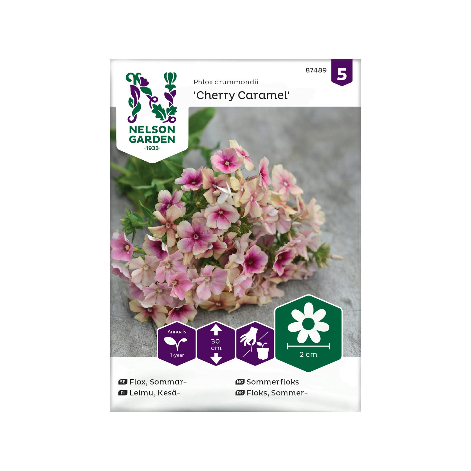 Frö Sommarflox Nelson Garden Cherry Caramel