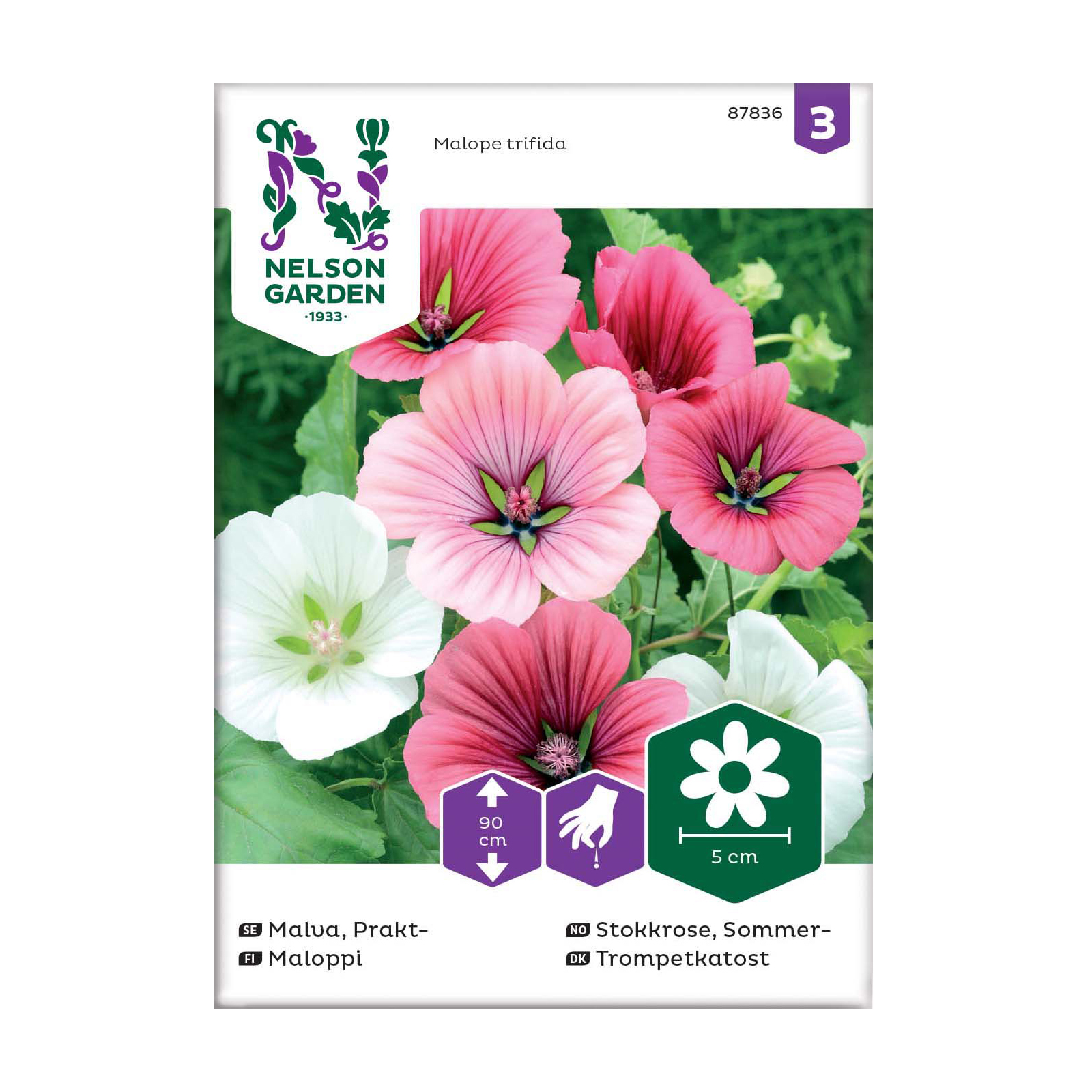 Frö Praktmalva Nelson Garden Mix