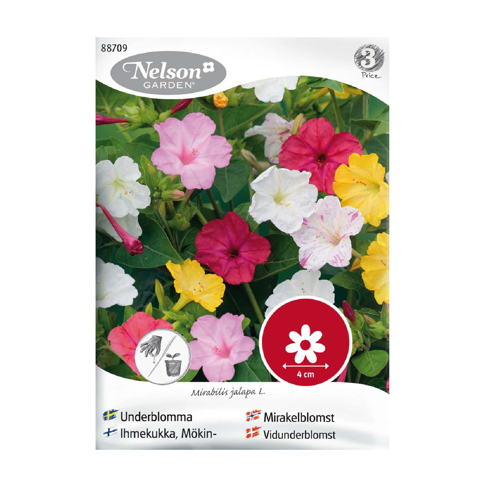 Frö Underblomma Nelson Garden Mix