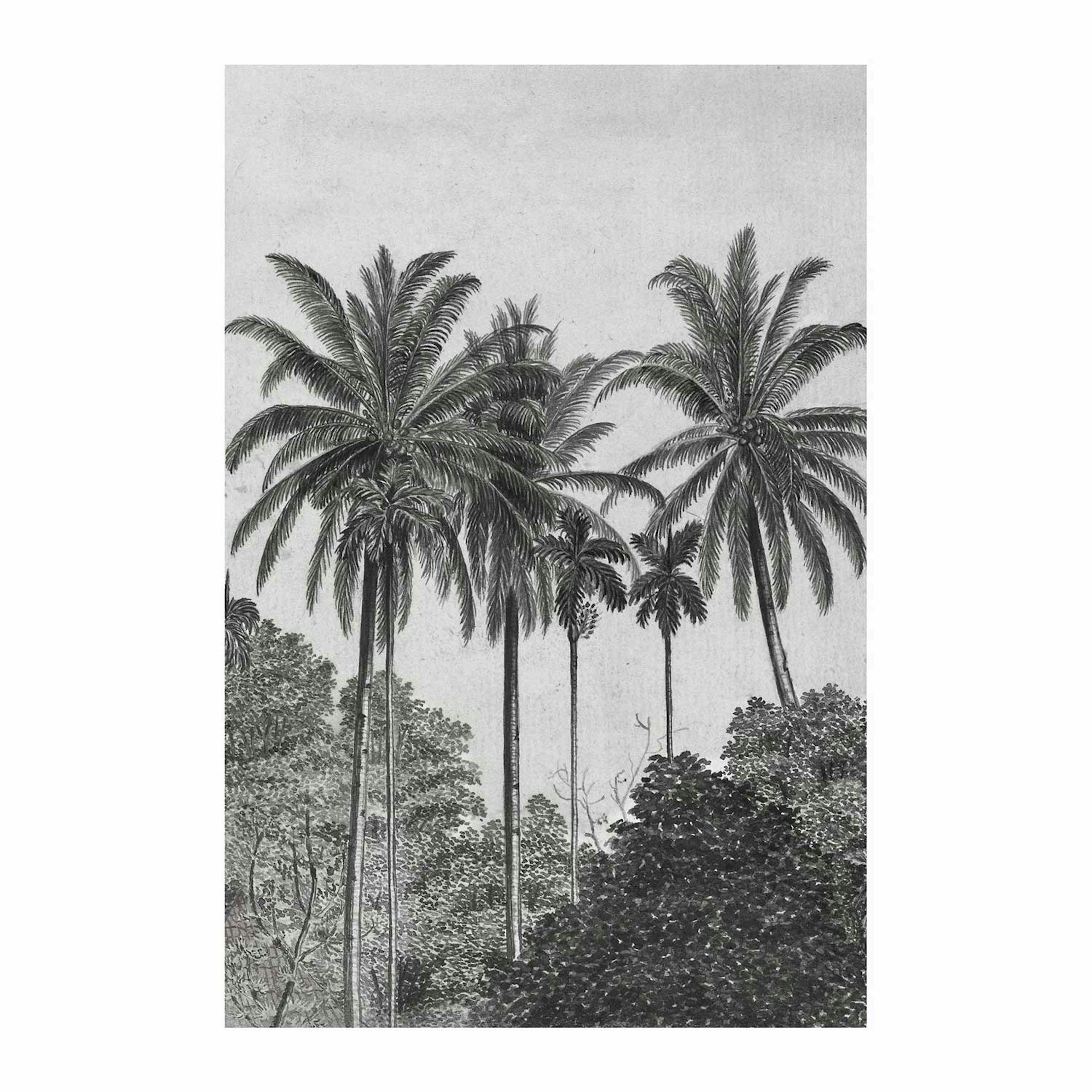 Fototapet Art For The Home Palm Lämnar 89434