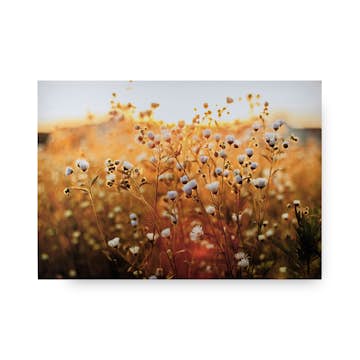 Tavla Art for the Home Fieldflower 70x100