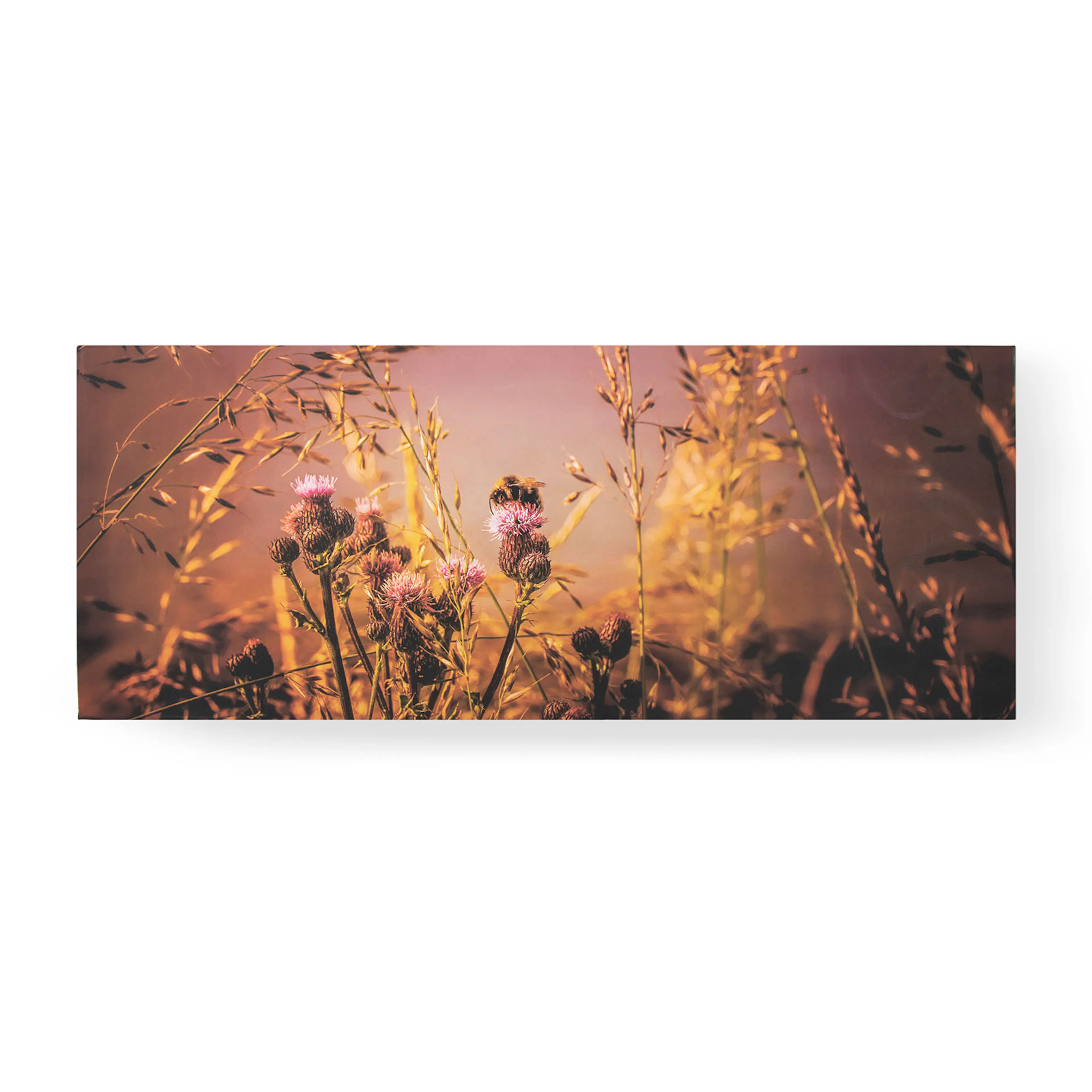 Tavla Art for the Home Flowers and a Bee 40x100