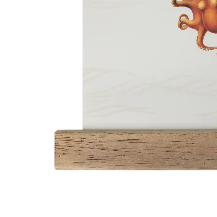 Hängande Affisch Art for the Home World Map Animals 70x100