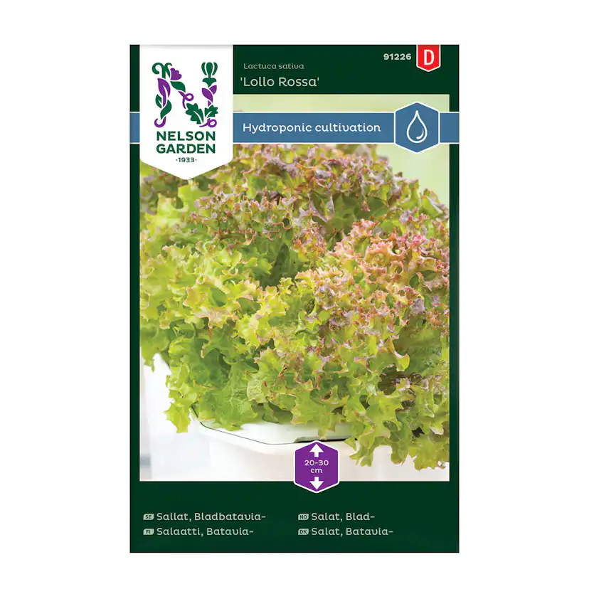 Frö Sallat Nelson Garden Bladbatavia Lollo Rossa