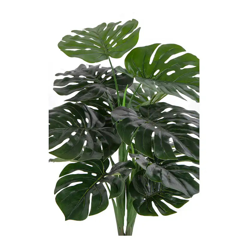 Konstväxt House Nordic Monstera