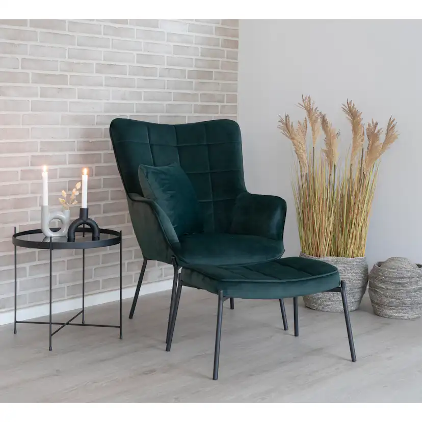 Konstväxt House Nordic Sorghum