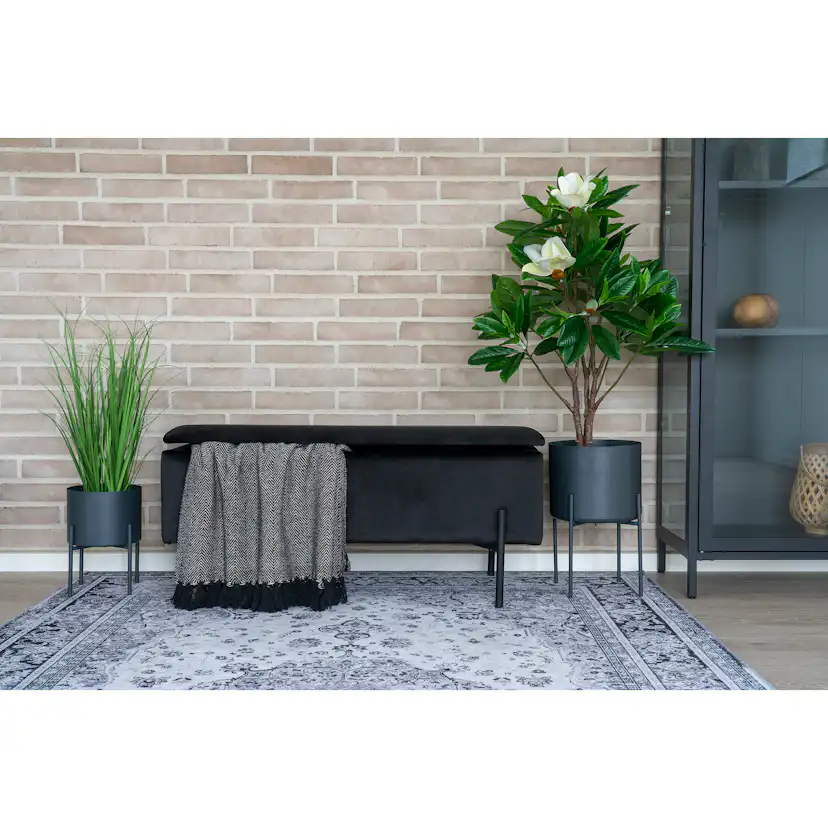 Konstväxt House Nordic Poa