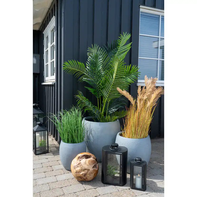 Konstväxt House Nordic Poa