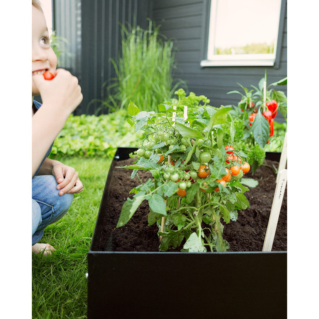 Odlingskrage Jabo Odla