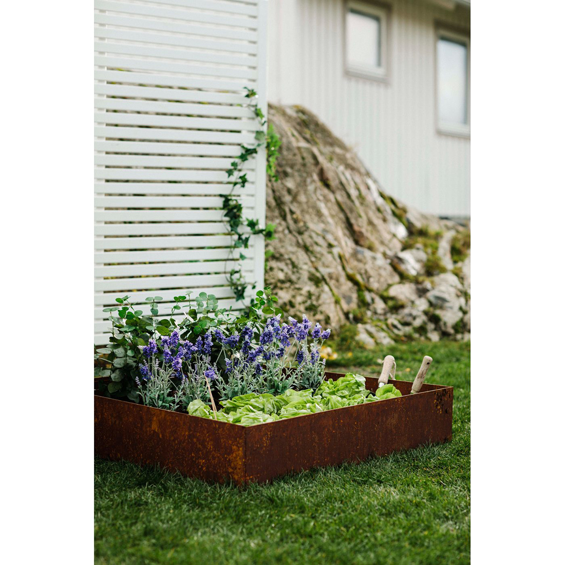 Odlingskrage Jabo Odla