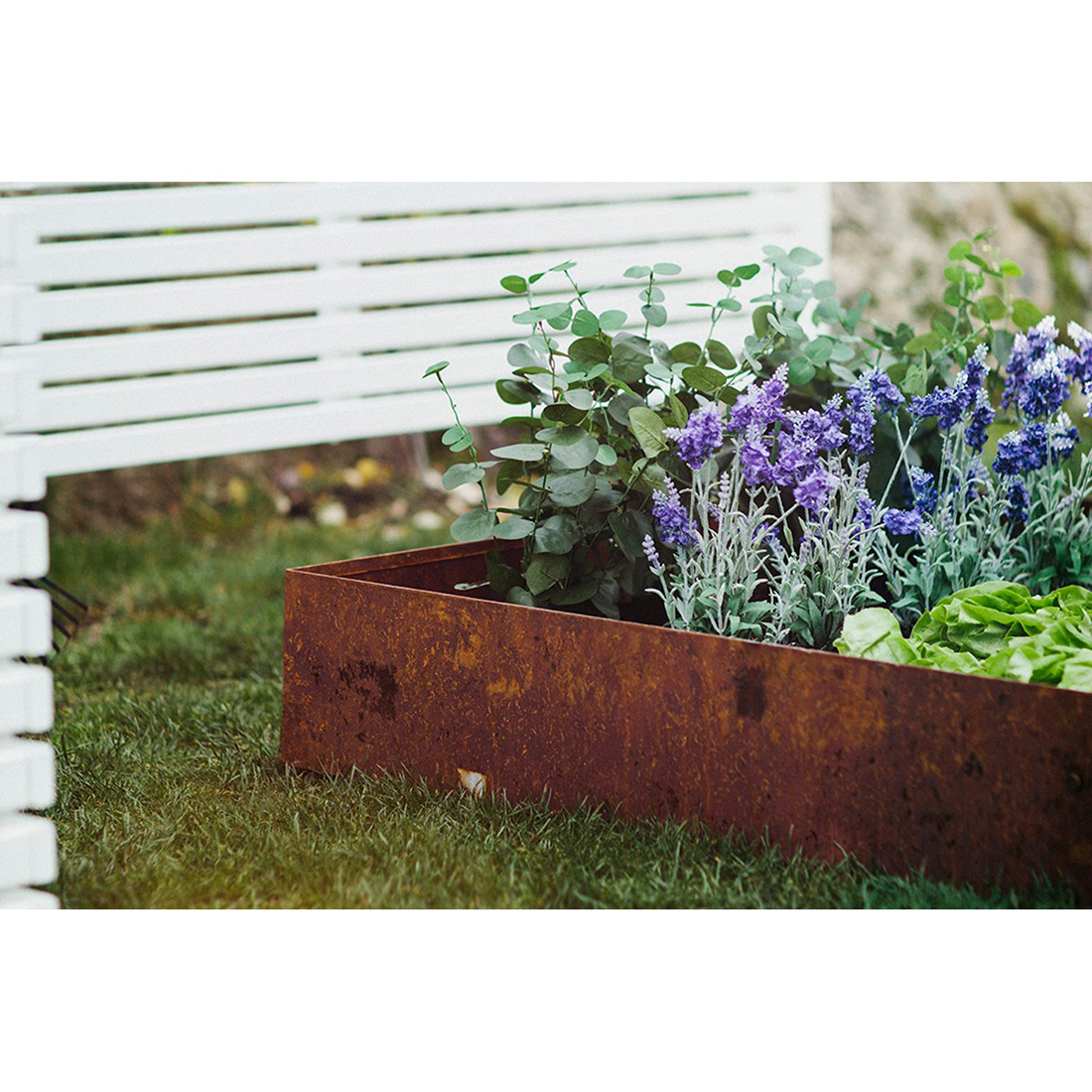 Odlingskrage Jabo Odla