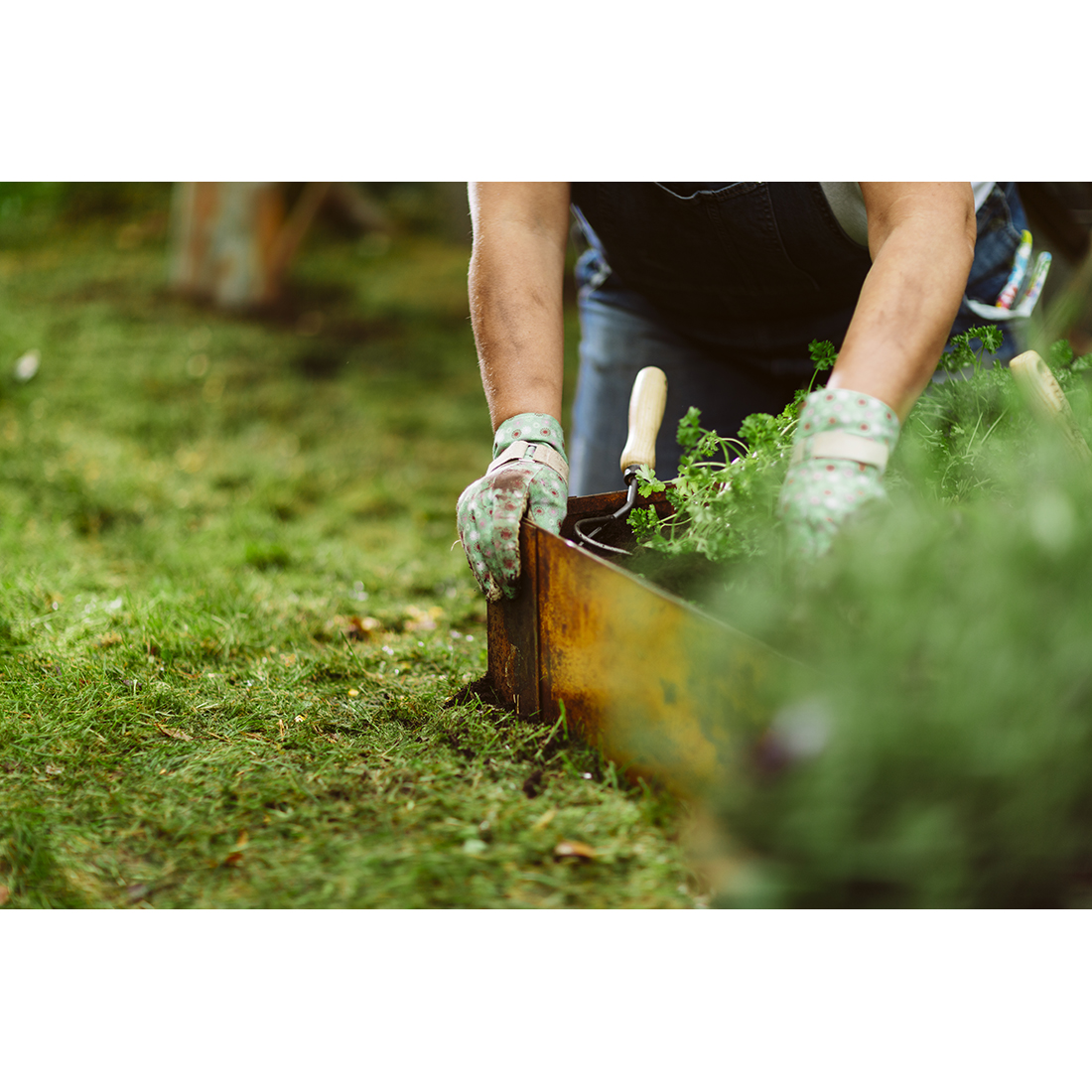 Odlingskrage Jabo Odla