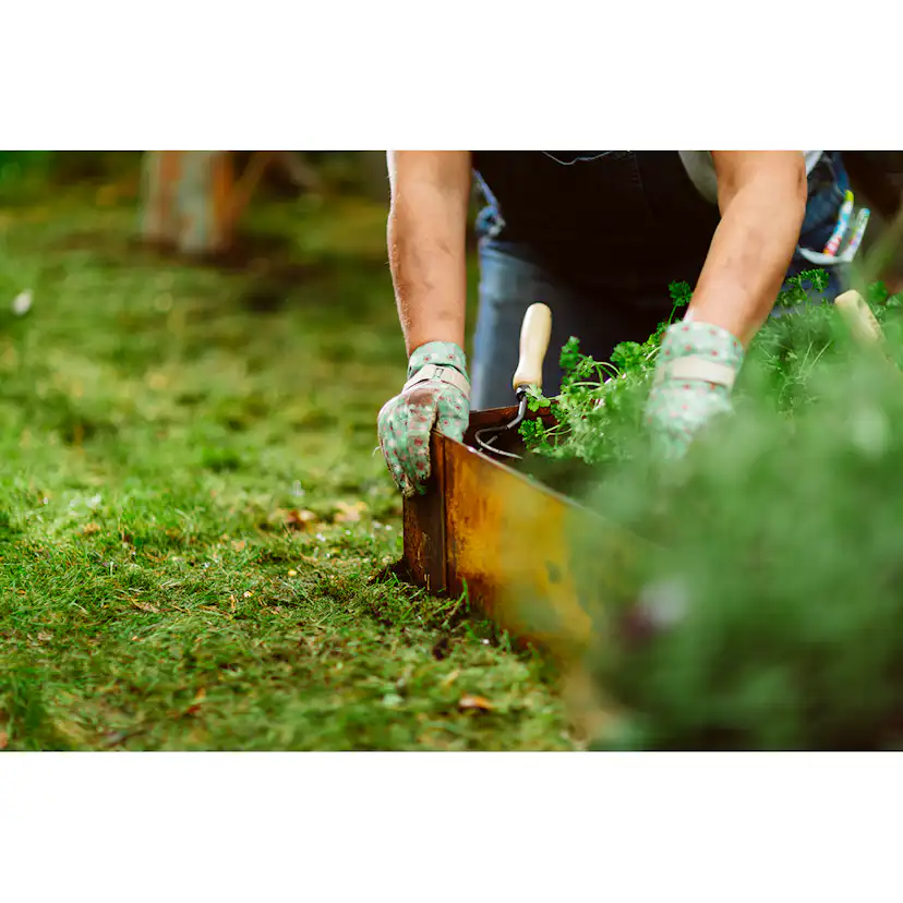 Odlingskrage Jabo Odla