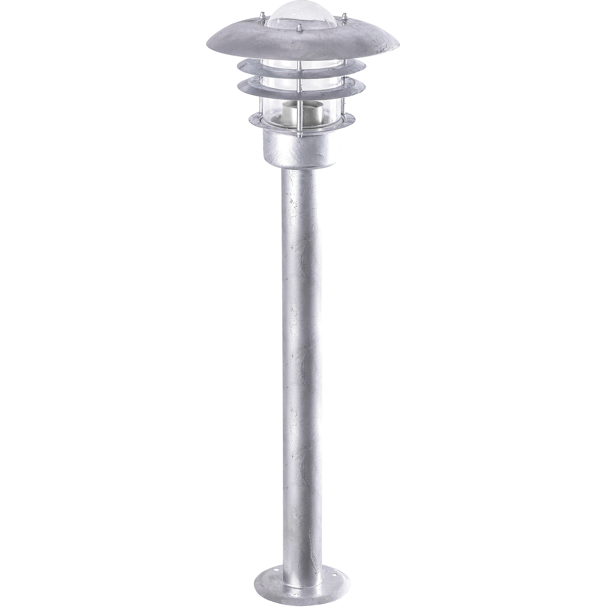 Pollare Malmbergs Björk 100 cm