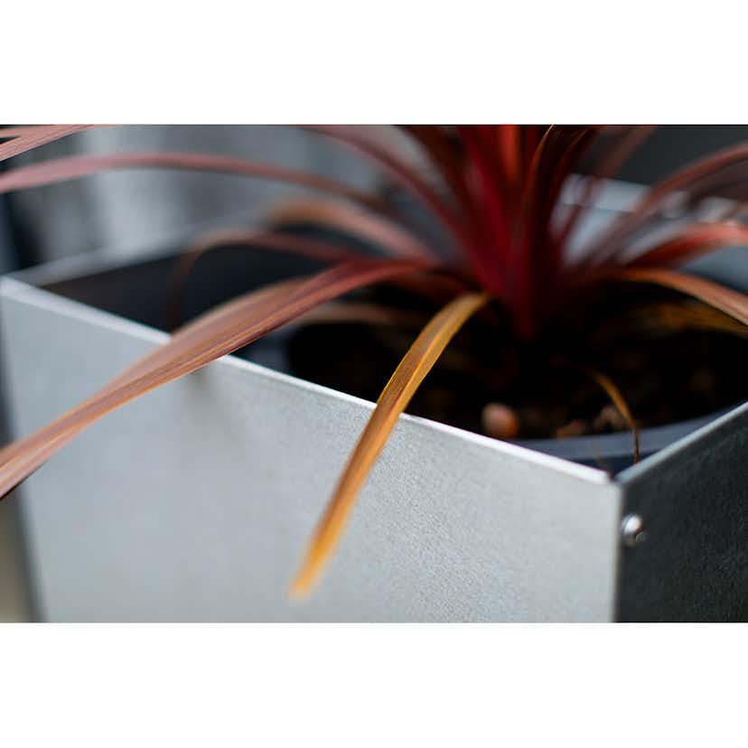 Kruka Skotte Garden Zinkplåt 25X25X30 cm