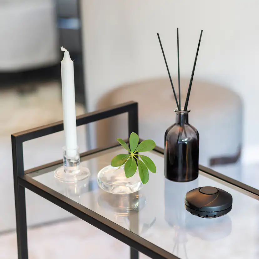 Barndvarnare Nexa Optisk DLSA-866/LL Med Inbyggt Batteri 10 år Svart