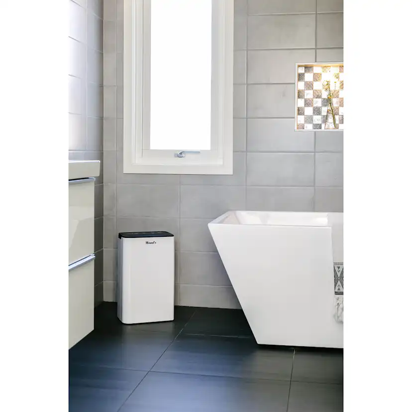 Avfuktare Wood's HSW100 MDK13