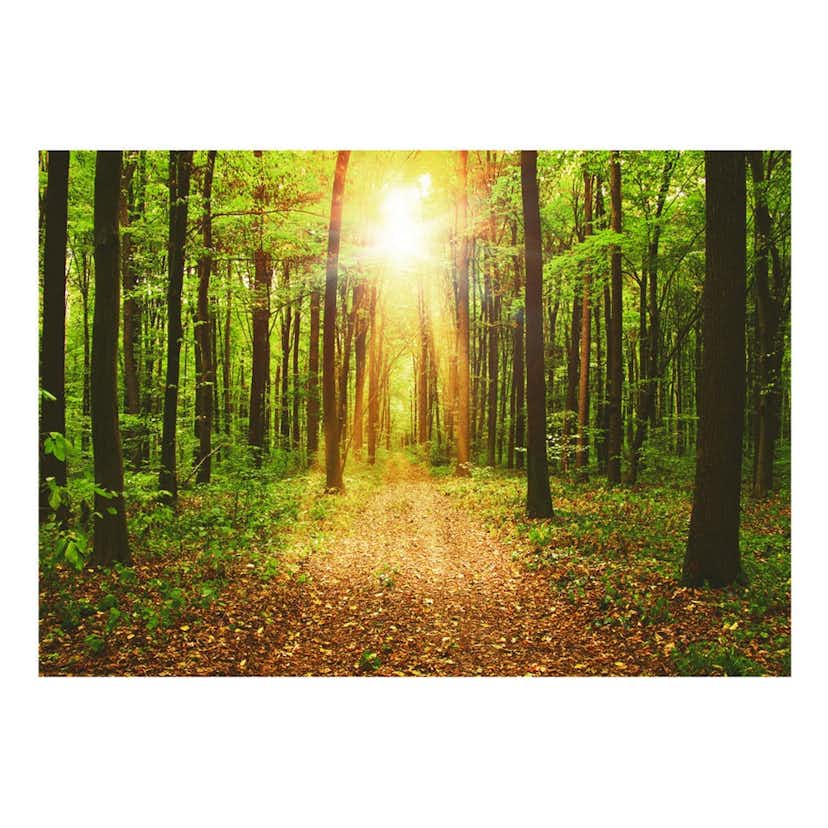 Fototapet Arkiio Självhäftande Mirror Of Nature