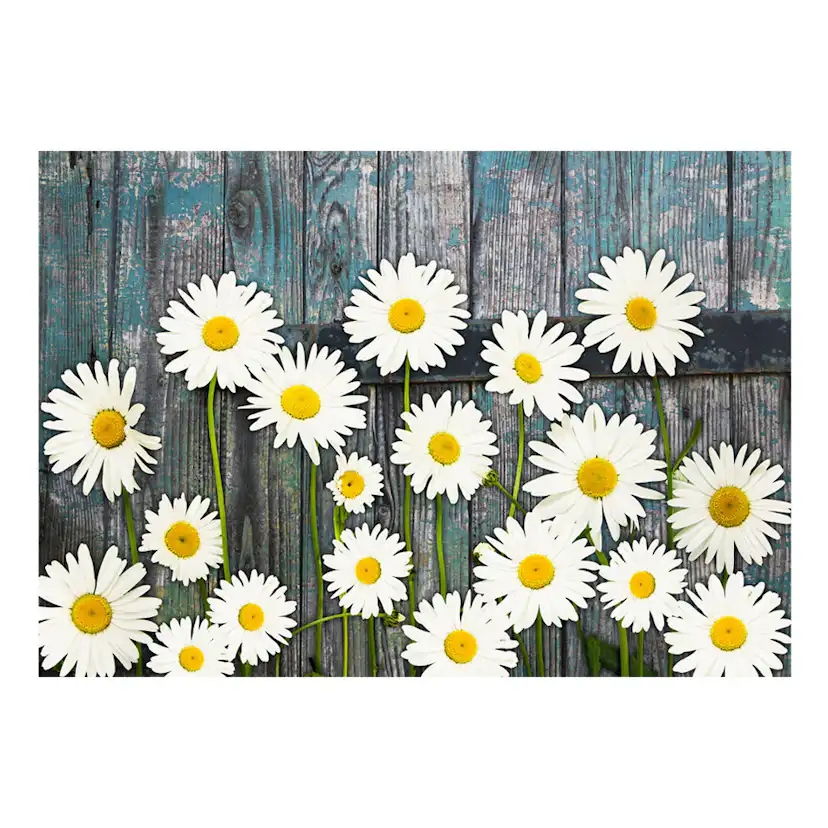 Fototapet Arkiio Return To The Innocence