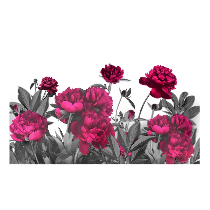 Fototapet Arkiio Självhäftande Lush Meadow 490x280