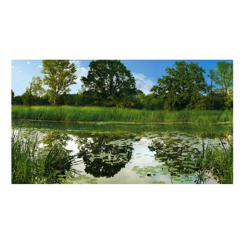 Fototapet Arkiio Självhäftande The Magic Pond II 490x280