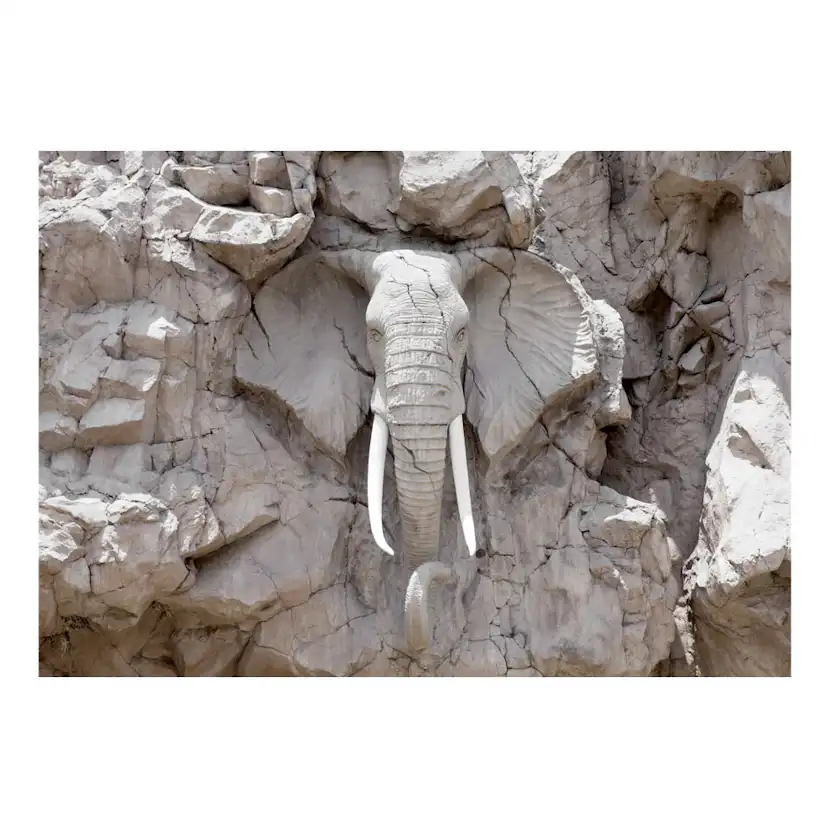 Fototapet Arkiio The Bridge Of Time South Africa 450x315 cm