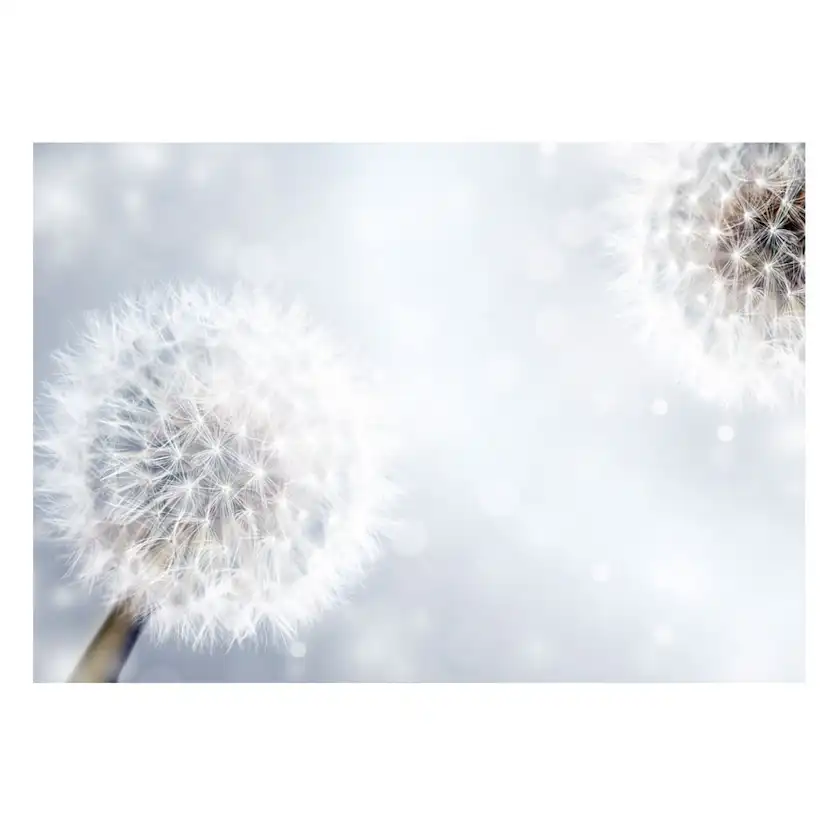 Fototapet Arkiio Självhäftande Unpredictable Moments