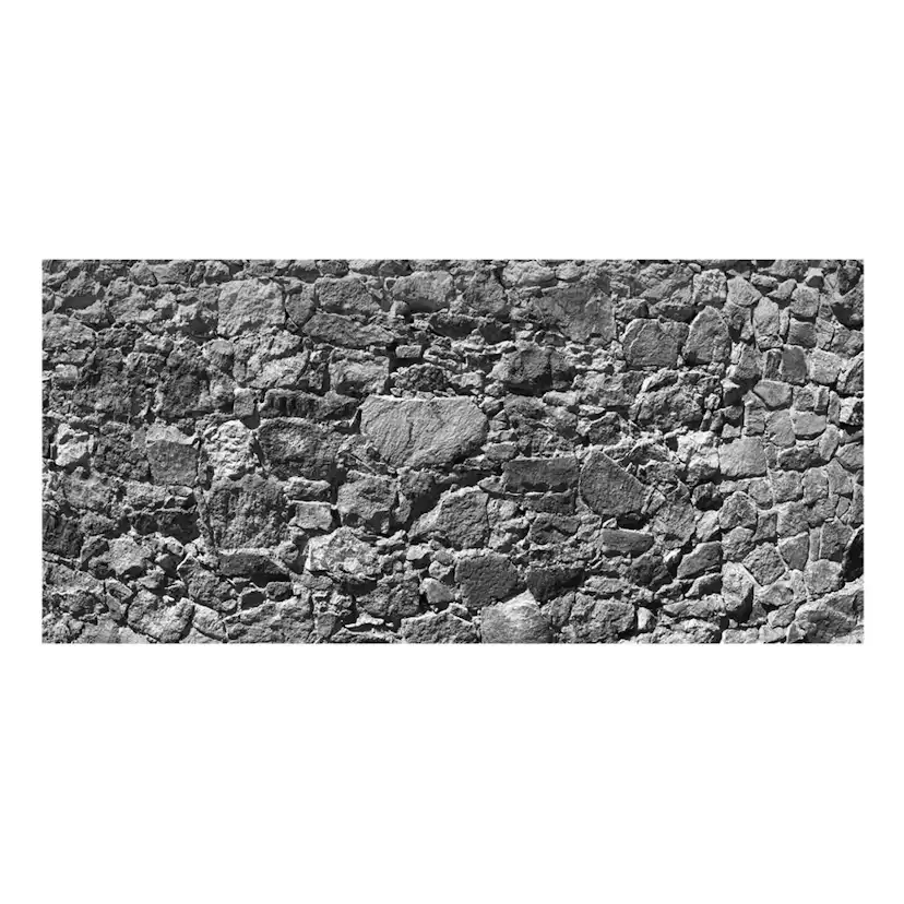 Fototapet Arkiio Självhäftande Tempus Fugit III 588x280