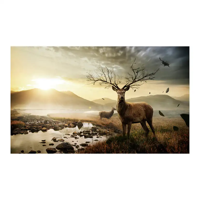 Fototapet Arkiio Rådjur med fjällbäck 450x270 cm