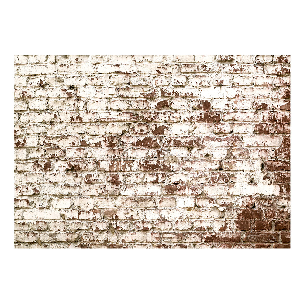 Fototapet Arkiio Vestige of Time 392x280