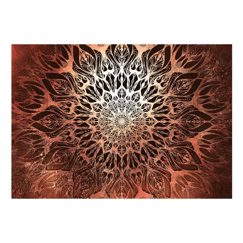 Fototapet Arkiio Självhäftande Spider Web Orange