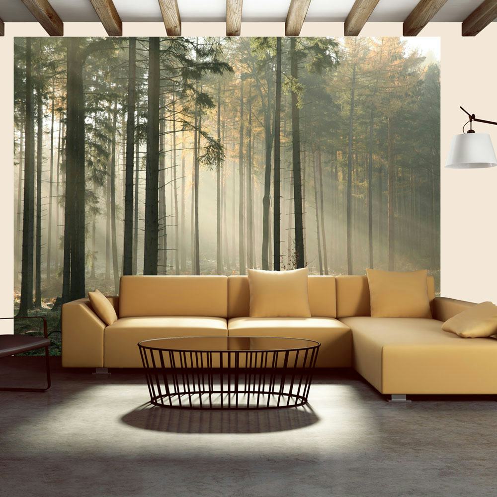 Fototapet Arkiio Foggy November Morning