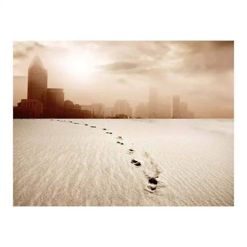 Fototapet Arkiio En Väg Till En Storstad