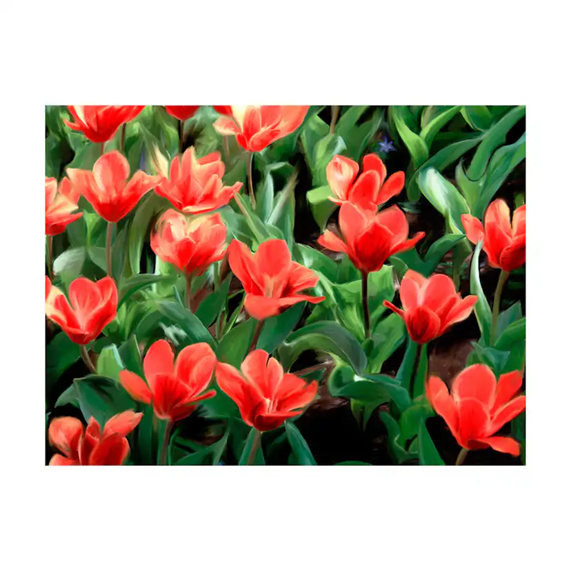 Fototapet Arkiio Painted Flowers